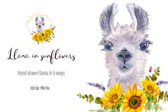 Download Watercolor Llama Clipart - Sublimation - Premium Bundle